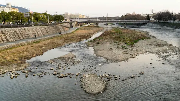 Kamogawa River